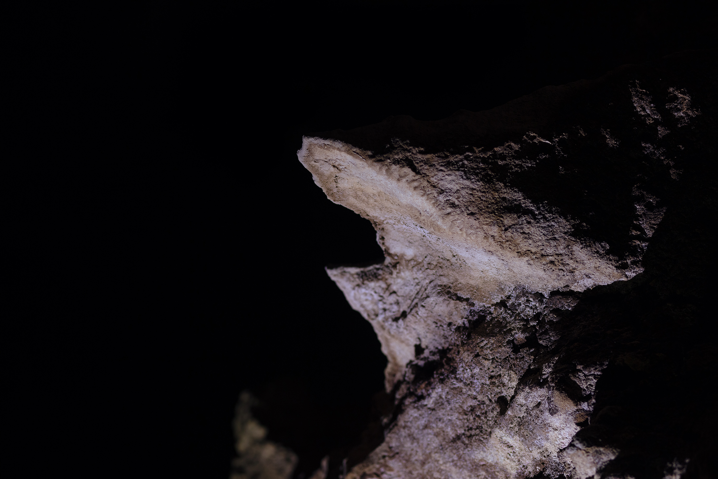 Pietra calcarea 5