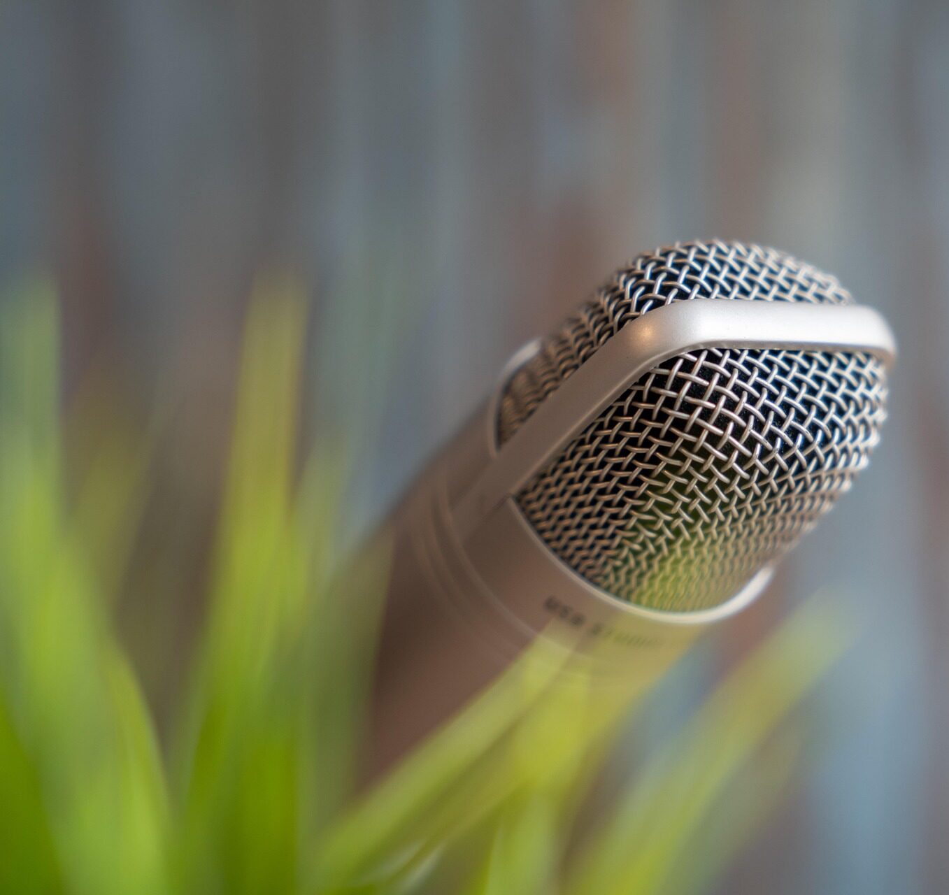 podcast – microfono filo erba